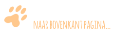 naar bovenkant pagina…